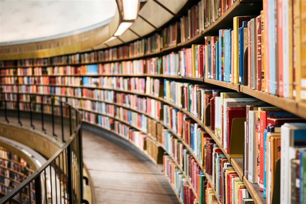 Understanding Transitioning from Early Years to Primary